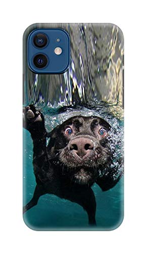 NDCOM for iPhone 12 Back Cover Underwater Dog Printed Hard Case