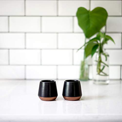 Fellow Junior Demitasse Double Wall Ceramic Coffee Mug - Refined And Sophisticated Espresso Cups, Matte Black, 2.3 Oz Shot Cup (Set Of 2) #TOP4