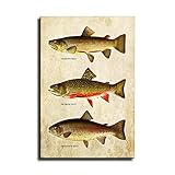SUPERYUFENG Retro Trout Fly Fishing Paintings Modern Canvas Prints Artwork Printed on Canvas Wall Ar
