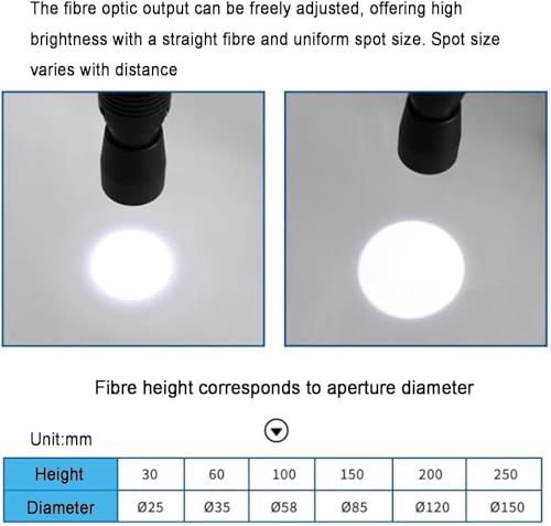 Éclairage pour microscope à fibre optique avec luminosité réglable 6000K - 3