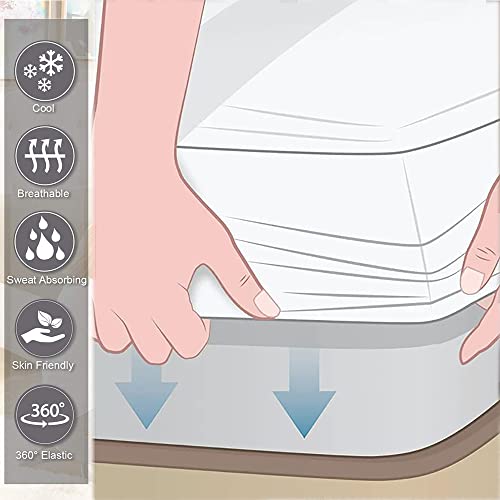 Surwin Lenzuolo con Angoli Tinta Unita