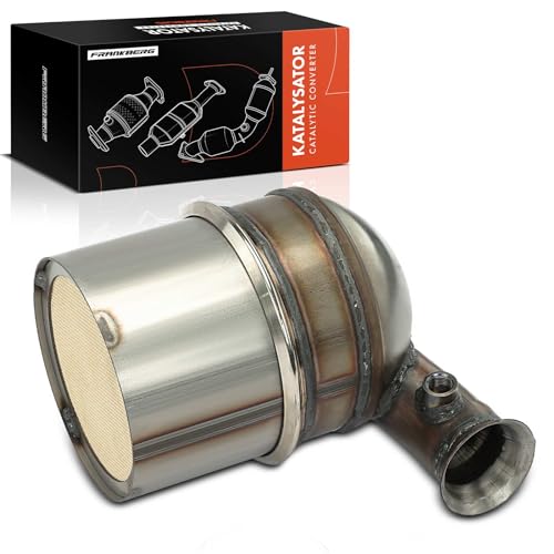 Frankberg Filtro de partículas diésel DPF Diesel compatible con Berlingo C-Elysee C3 II C4 C5 III DS3 DS4 DS5 Partner 207 208 2008 3008 308 4008 5008 Replace# 1731XK