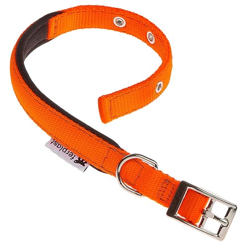 Ferplast Collier pour Chien Taille Moyenne, réglable, en Nylon rembourré,