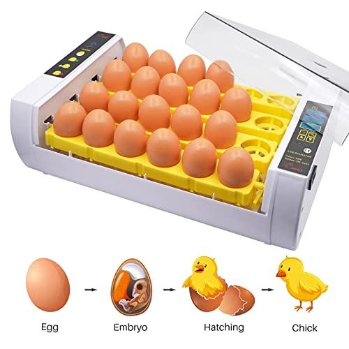MUYIRTED Inkubator Hühner 24 Eier Brutmaschine Vollautomatisch Brutautomat Wachteln Enteneier Geflügel Egg Incubator… – Bild 7