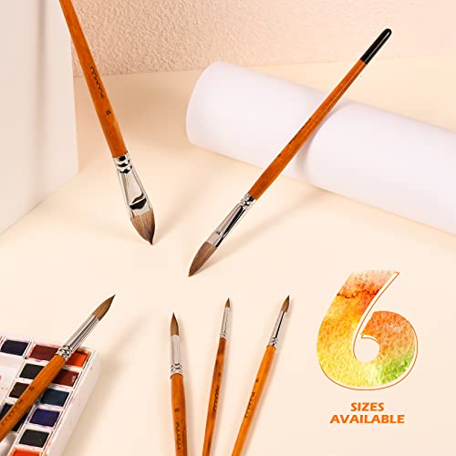 Sable Watercolor Brushes Professional Kolinsky Watercolor Paint Brushes For Artists 6Pcs - Pointed Rounds Cat Tongue Oval Wash Dagger For Watercolor Acrylics Inks Gouache Painting Yellow #TOP6