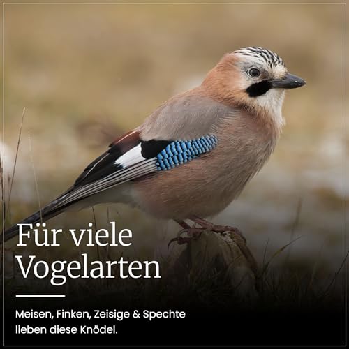 Erdtmanns 50 Meisenknödel mit Netz im Eimer 4,25 kg – Vogelfutter mit Getreideflocken & Sonnenblumenkernen – Ganzjahresfutter für Wildvögel – für Garten, Balkon & Bäume