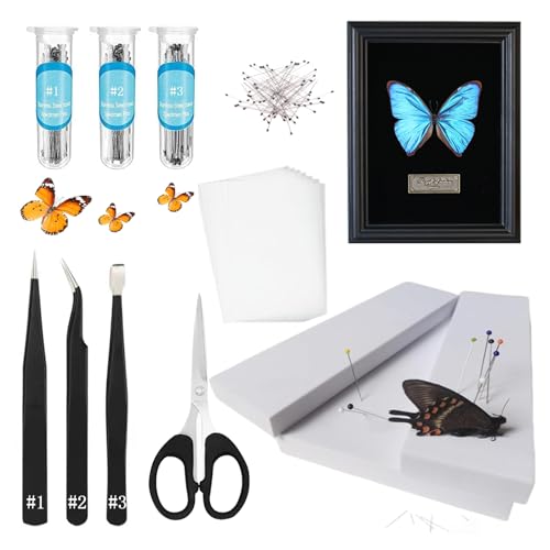 Image of Butterfly Specimen Kit Includes pins, mounting Board, Spreading Tools, Display case, Labels, Forceps, Preserving and showcasing Butterfly specimens. (Black Photo Frame Tool Set)