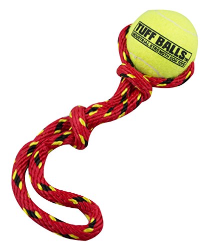 PetSport USA Fling Thing Tennis Ball with Rope, Red, 3-Pack