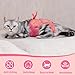 Coppthinktu Cat Recovery Suit Cat Onesie for Cats After Surgery, Cat Spay Surgery Recovery Suit for Abdominal Wounds, Breathable Cat Body Surgical Suit for Female Kitten Cone of Shame Alternatives