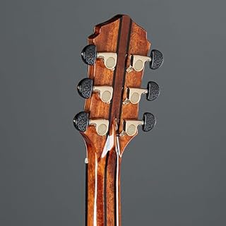 Fame Mahogany Standard – Guitare Acoustique - Les Beatles, Paul McCartney, John Lennon, RIngo Starr, George Harrison Fame Mahogany Standard - Guitare Acoustique – Image 5