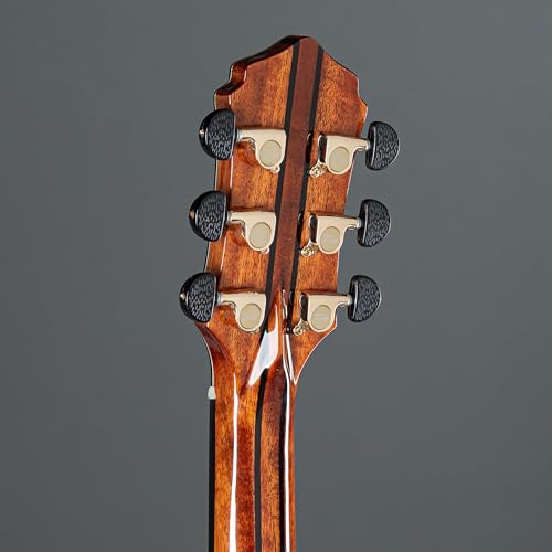 Fame Mahogany Standard – Guitare Acoustique - Les Beatles, Paul McCartney, John Lennon, RIngo Starr, George Harrison Fame Mahogany Standard - Guitare Acoustique – Image 6