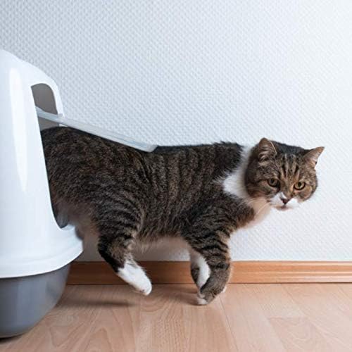 Miniatura 3 de Litter Fresh Active+, 42 onzas (6 bolsas de 7 onzas cada una), desodorante natural para arena para gatos con carbón activado a base de coco