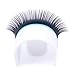 Eyelash Extensions 0.15 C CC D DD J B L Curl 8-14mm Lash Extensions Supplies Individual Lashes Premium Silk Volume & Classic Lash Soft Matte Dark Professional Eyelashes Extensions (0.15-C-8-14 Mixed)