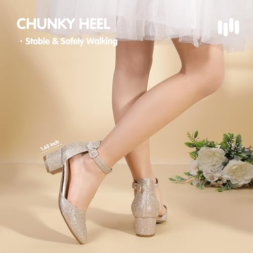 Image of Hehainom Girls Dress Shoes Chunky High Heels Ankle Strap Pumps