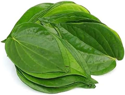 Fresh Betel Leaf(Paan Ka patta), 5 Pcs, 11 grams
