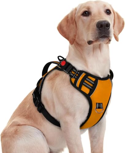 Image of No Pull Dog Chest Belt Harness, Comfortable & Adjustable Size for 5-13 Kg Pet (Orange, Small)