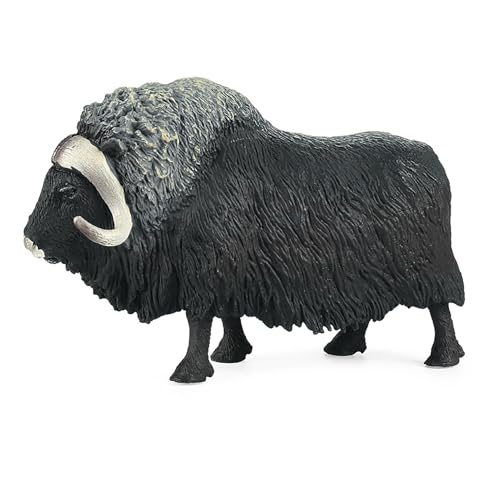 Y̒u AȃWREEV tBMA | 쐶f  _̓ tBMA j̎q ̎q c a NX}X Mtg vňS qp Ƃ̑ p[eB[LOi P[Lgbp[