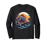Colorful Fish Aquatic Animal Aquarium Designs