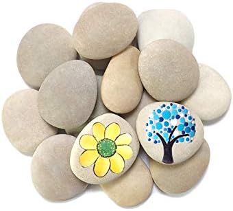 Lifetop 16PCS Painting Rocks , DIY Sea Rocks Smooth Kindness Rocks for Arts, Crafts, Decoration ,Small Rocks for Painting ,Hand Picked for Painting Rocks