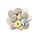 Lifetop 6PCS Light Grey Painting Rocks DIY Rocks for Painting Kindness Rocks Smooth Surface Stones, Arts and Crafts ，2.0 to 3.2 inches in Length，Hand Picked for Painting Rocks