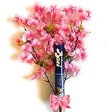 💐 Idea Regalo Originale : Mazzo da 50 cm con Fior di Pesco . Colori Vivaci . per gli amanti del Fior di Pesco in qualunque stagione dell'anno