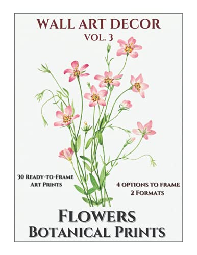 Wall Art Decor: Botanical Prints Wild Flowers - 30 Ready to Frame Beautiful Art Illustrations - 2 Format & 4 Options to frame - Matching Backgrounds - ... Decorations -Vol. 3 (Instant Wall Art Books)