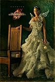 HUNGER GAMES CATCHING FIRE MOVIE POSTER 1 Sided ORIGINAL 27x40 KATNISS