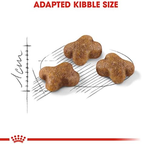 Royal Canin Kitten Dry Cat Food 2kg
