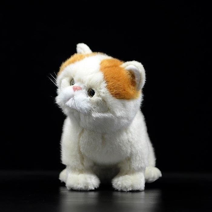 Amazon.co.jp: シミュレーションエキゾチックショートヘア猫