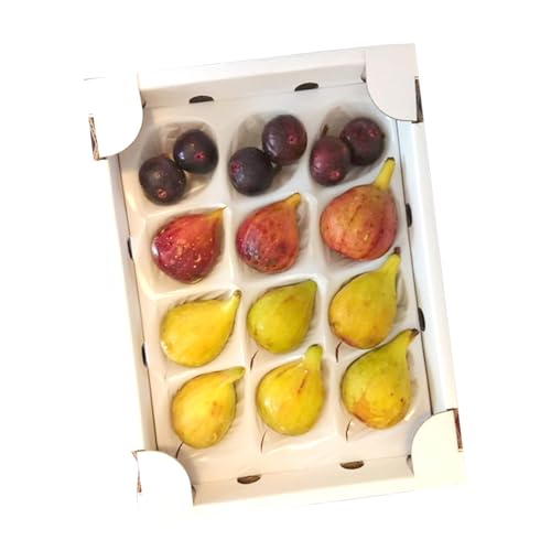 天草 完熟 いちじく 食べ比べ 南蛮柿 フルーツ 果物 果実 スイーツ 食物繊維 ミネラル 豊富 健康食材 製菓 熊本 天草 苓北 ドーフィン バナーネ ブルジャ ネグローネ[2026年8月中旬-9月末頃出荷]