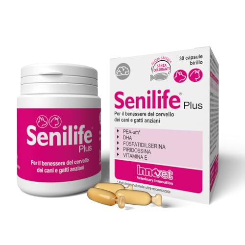Senilife Plus, para el Bienestar del Cerebro de Perros y Gatos Ancianos – Mejora Las Funciones cognitivas y la Memoria para un envejecimiento Cerebral exitoso – 60 cápsulas de bolo monodosis