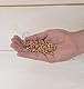 Landare Kies Rot 1,8Kg - Dekosteine - Zierkies - Dekosteine für Vasen - Kieselsteine - Deko Steine Kleine - Ziersteine - Aquarium Steine Zierkies Bunt - Steine Garten (6-10 mm)