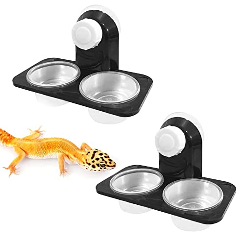 amazon.ae Best Sellers The best items in Small Animal Feeding & Watering Supplies based on