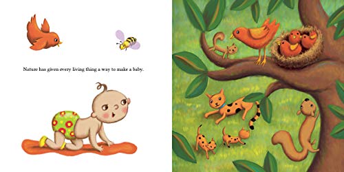 Where Do Babies Come From?: Our First Talk about Birth: 1