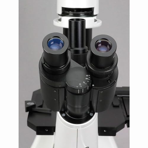 Image of AmScope IN300TC-10M Digital Long Working Distance Inverted Trinocular Microscope, 40x-1000x, WH10x and WH25x Eyepieces, Phase-Contrast Objectives, 30W Halogen Illumination, 0.3 NA Abbe Condenser, Mechanical Stage, 110V, Includes 10MP Camera with Reduction Lens and Software