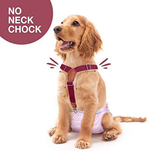 Pet Soft Hundewindel-Hosenträger, 2 Stück Hunde-Hosenträger für Hundewindeln, Hundepampers, Bauchbänder, Haustier-Kleidung (Beige-Wine, L)