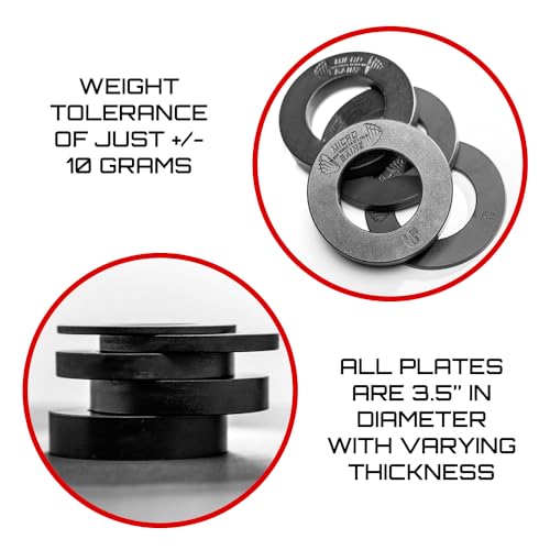 Image of Micro Gainz Calibrated Fractional Weight Plate Set of 2 Plates, Choose Set (.25LB-1.25LB), Designed for Olympic Barbells for Strength Training & Micro Loading Bar Weights, Made in USA