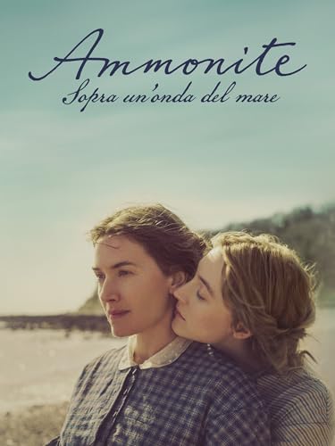  Amonita