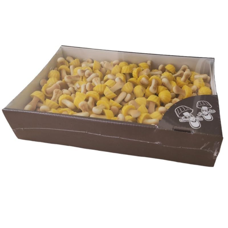 Galletas Forma Setas | Cubiertas Suave Chocolate | Caja 1kg (Platanoo)
