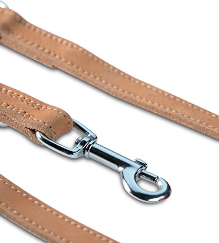 Jack & Russell Premium Fettleder Hundeleine Travis 2,0m - Hunde Lederleine extrem Stabil mit Edelstahl-Karabiner - Echtleder Leine mehrfach verstellbar – Travis (Hellbraun)