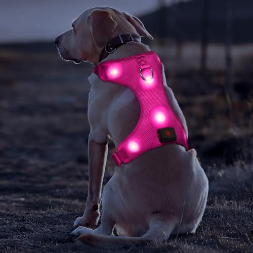 DOMIGLOW Light Up Dog Harness, No-Pull LED Dog Harness Light, Rechargeable Glowing Pet Harness for Night Walking & Camping (Hotpink, Small)