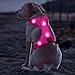 Domi LED Dog Harness, USB Rechargeable Lighted Dog Vest Harness, No Pull Pet Vest Harness with Comfortable Padded Suit for Your Small Medium Large Dogs(S, Pink)