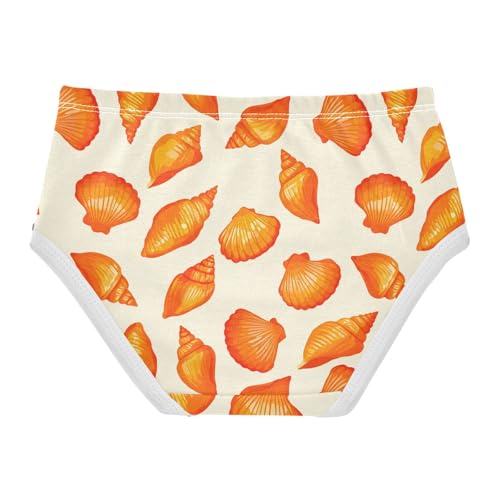 Shell Toddler Girls's Underwear 2T 23028952