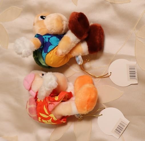 Amazon.co.jp: 宮崎 フェス シーガイア オーシャンドーム カメ