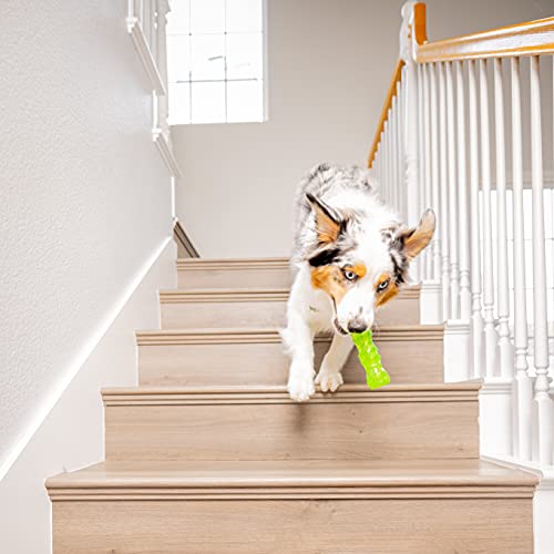 Hyper Pet Dura-Squeaks Stick Dog Toy, Medium #TOP5