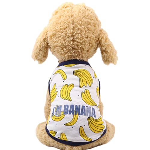 pAp ybg  ̕ tėp XS~2XL t[c^Ngbv L~\[s[X bV ʋCbVxXg  iD ̂m  Ă~ Eѕی [EFA  ₷ ĕybgEFA x Xg