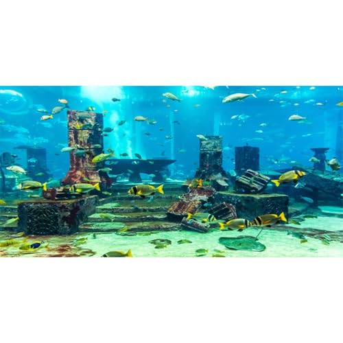 AWERT Undersea Theme Aquarium Background Colorful Coral Tropical Fish Ruins Underwater World Fish Tank Background 48x24 inches Vinyl