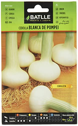 Semillas Batlle   Cebolla temprana POMPEI