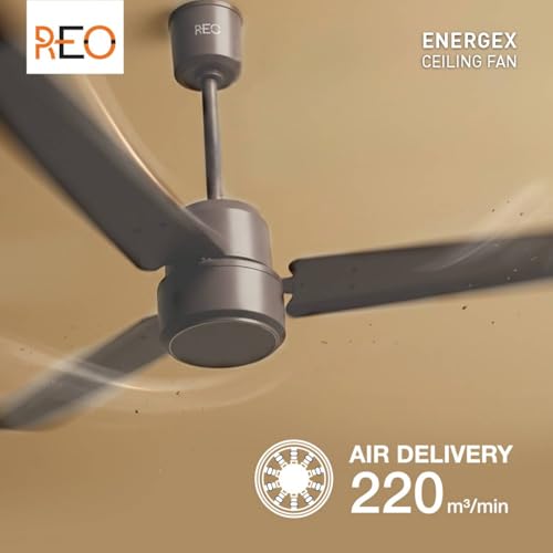 Image of Havells REO Energex BLDC 1200MM Ceiling Fan inchFixed Price Always inch | Air Flow: 220 CMM| Speed: 350 RPM| Reverse Rotation Mode| Timer Setting| 2 Year Door Step Warranty By Manufacturer (Stone Grey)