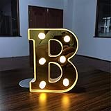 Lampe LED tendance - Longue durée de vie - Utilisation à long terme - Pas de chaleur. Obtenez le meilleur effet décoratif.